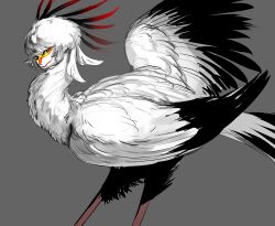 Rule 34 | 1other, bird, brown eyes, closed mouth, commentary request, cowboy shot, feather hair, feathers, grey background, highres, human head, looking at viewer, metamon1996, original, red lips, secretarybird, short hair, simple background, solo, standing, white feathers, white hair