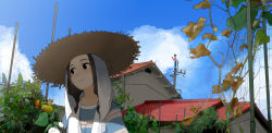 Rule 34 | 1girl, black eyes, black hair, blue sky, braid, cloud, column, commentary, day, food, garden, gloves, hat, house, leaf, light smile, morifumi, original, pillar, plant, pole, pylon, rice hat, sky, solo, twin braids, twintails, upper body, vegetable, wally (where&#039;s wally), when you see it, where&#039;s wally