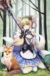 Rule 34 | 1girl, animal ears, arknights, belt pouch, blonde hair, blush, breasts, commentary request, forest, fox, fox ears, fox tail, gloves, green eyes, hair rings, headset, highres, infection monitor (arknights), looking at viewer, multiple tails, nature, pouch, shinkai kokoa, small breasts, staff, suzuran (arknights), tail, tree