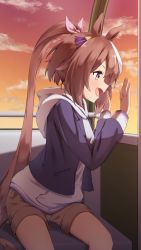 Rule 34 | 1girl, animal ears, blue eyes, blue jacket, blush, bow, brown hair, brown shorts, cloud, evening, fang, ferris wheel interior, hair bow, high ponytail, highres, hood, hood down, hoodie, horse ears, horse girl, horse tail, jacket, long sleeves, looking outside, multicolored hair, open mouth, pink bow, pocket, shorts, sitting, skin fang, sky, smile, solo, streaked hair, tail, taitan, umamusume, white hair, white hoodie