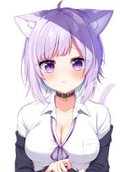 Rule 34 | 1girl, absurdres, ahoge, animal ears, bad id, bad pixiv id, black collar, blouse, breasts, cat ears, cleavage, closed mouth, collar, collared shirt, highres, hololive, large breasts, looking at viewer, nekomata okayu, nekomata okayu (oversized shirt), purple eyes, purple hair, shinonome asu, shirt, short hair, simple background, solo, upper body, virtual youtuber, white background, white shirt