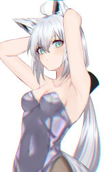 Rule 34 | 1girl, ahoge, animal ear fluff, animal ears, armpits, arms behind head, arms up, bare arms, blue eyes, blush, breasts, cleavage, closed mouth, fox ears, fox girl, fox tail, grey leotard, hair between eyes, hololive, leotard, long hair, looking at viewer, medium breasts, ponytail, saco (cgmore), shirakami fubuki, solo, strapless, strapless leotard, tail, very long hair, virtual youtuber, white hair
