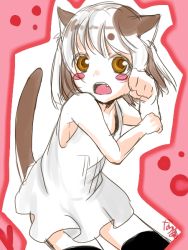 Rule 34 | animal ears, blush, blush stickers, cat ears, child, natsu (norari kurari), source request, tagme, tail
