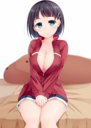 Rule 34 | 10s, 1girl, black hair, blush, breasts, cleavage, covered erect nipples, green eyes, jacket, kirigaya suguha, large breasts, looking at viewer, on bed, open clothes, open jacket, sena chifuyu, short hair, shorts, sitting, smile, solo, stuffed animal, stuffed toy, sword art online, track jacket