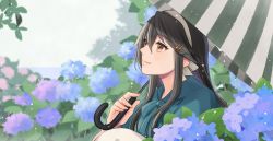 Rule 34 | 1girl, black hair, brown eyes, flower, hair ornament, hairclip, haruna (kancolle), highres, hydrangea, kantai collection, long hair, looking up, natsume (natsume melio), official alternate costume, portrait, rain, smile, umbrella, water drop