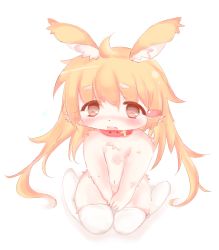 Rule 34 | artist request, blonde hair, rabbit, flat chest, furry, highres, long hair, open mouth, red eyes