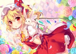 Rule 34 | 1girl, animal, argyle, argyle background, argyle clothes, ascot, blonde hair, blue flower, blue rose, blush, bow, chestnut mouth, dress, flandre scarlet, flower, hat, hat bow, looking at viewer, mob cap, open mouth, petals, pink flower, pink rose, puffy short sleeves, puffy sleeves, rabbit, red dress, red eyes, riichu, rose, sash, shirt, short sleeves, side ponytail, solo, touhou, wings, wrist cuffs, yellow flower, yellow rose