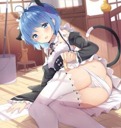Rule 34 | 1girl, ahoge, animal, animal ear fluff, animal ears, arm support, ass, bad id, bad pixiv id, black dress, blue eyes, blue hair, blush, breasts, bucket, butt crack, cat, cat ears, cat tail, chintora0201, commentary request, dress, fake animal ears, feet out of frame, frilled sleeves, frills, hair ornament, hair ribbon, heart, heart in eye, highres, holding bandaid, indoors, long sleeves, open mouth, panties, panty pull, purple ribbon, re:zero kara hajimeru isekai seikatsu, rem (re:zero), ribbon, short hair, solo, symbol in eye, tail, thighhighs, thighs, underwear, wavy mouth, white panties, white thighhighs, wooden floor, x hair ornament
