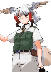 Rule 34 | 1girl, absurdres, alternate hairstyle, bird girl, bird tail, bird wings, black gloves, black hair, blush, collared shirt, commentary request, cowboy shot, gloves, green shorts, grey shirt, grey shorts, head wings, highres, hozumi sousei, japanese crested ibis (kemono friends), kemono friends, kemono friends 3, khakis, looking at viewer, neckwear request, official alternate costume, orange eyes, ponytail, red hair, shirt, short hair, short sleeves, shorts, sidelocks, solo, t-shirt, tail, two-tone shirt, uniform, white hair, wings