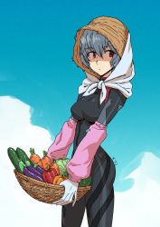 Rule 34 | 1girl, ayanami rei, basket, bell pepper, blue hair, blue sky, brown hat, cabbage, carrot, closed mouth, cloud, cucumber, dated, eggplant, food, fruit, gloves, hair between eyes, hat, highres, holding, holding basket, kinuko (kinucakes), neon genesis evangelion, outdoors, pepper, plugsuit, red eyes, signature, sky, solo, standing, straw hat, watermelon, white gloves