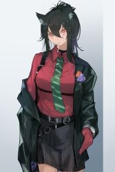 Rule 34 | 1girl, animal ear fluff, animal ears, arknights, belt, belt buckle, black coat, black hair, black shorts, breasts, buckle, closed mouth, coat, collared shirt, cowboy shot, gloves, gradient background, green necktie, grey background, highres, kamatpit, long hair, long sleeves, looking at viewer, medium breasts, mouth hold, necktie, off shoulder, official alternate costume, open clothes, open coat, red eyes, red gloves, red shirt, shirt, shorts, sidelocks, solo, suspender shorts, suspenders, texas (arknights), texas (willpower) (arknights), watch, white background, wolf ears, wristwatch