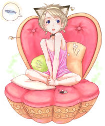 Rule 34 | 1girl, 29 (artist), animal ears, barefoot, blue eyes, cat ears, collar, fish, flat chest, mouse (animal), pillow, sitting, solo