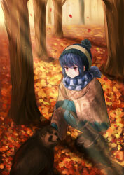 Rule 34 | 1girl, absurdres, animal, autumn, autumn leaves, beanie, black gloves, blue hair, blue hat, blue jacket, blue pants, blue scarf, boots, brown footwear, closed mouth, denim, fingerless gloves, full body, gloves, hat, highres, jacket, jeans, ky00, leaf, long sleeves, maple leaf, outdoors, pants, poncho, purple eyes, raccoon, scarf, shima rin, smile, solo, squatting, striped clothes, striped scarf, tanuki, tree, yurucamp