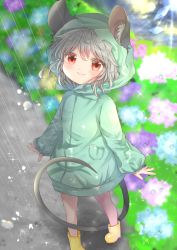 Rule 34 | 1girl, absurdres, alternate costume, animal ear fluff, animal ears, arms at sides, ashino chimado, blue flower, blush, boots, bush, closed mouth, coat, commentary request, eyes visible through hair, flower, full body, green coat, grey hair, hair between eyes, highres, hood, hood up, hydrangea, looking at viewer, mouse ears, mouse girl, mouse tail, nazrin, oversized clothes, pavement, pink flower, purple flower, rain, raincoat, red eyes, short hair, smile, solo, spread fingers, standing, tail, touhou, water drop, wet, wet clothes, yellow footwear