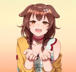 Rule 34 | 1girl, :3, animal collar, animal ears, bare shoulders, bluepoodlez, bone hair ornament, braid, breasts, brown eyes, brown hair, collar, collarbone, cupping hands, dog ears, dog girl, hair between eyes, hair ornament, happy, hololive, inugami korone, inugami korone (1st costume), jacket, long hair, looking at viewer, low twin braids, off shoulder, open mouth, outstretched arms, own hands together, red collar, simple background, twin braids, upper body, virtual youtuber, yellow jacket