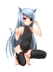 Rule 34 | 10s, 1girl, ahoge, animal ears, bare shoulders, barefoot, black thighhighs, blush, bodysuit, cat ears, cat tail, clenched hands, covered erect nipples, covered navel, eyepatch, feet, flat chest, frown, full body, grey hair, halterneck, highleg, highleg leotard, infinite stratos, kemonomimi mode, laura bodewig, leotard, long hair, looking at viewer, mx2j, navel, on one knee, paw pose, pelvic curtain, pilot suit, raised eyebrows, red eyes, simple background, solo, squatting, tail, thighhighs, toeless legwear, toes, turtleneck, very long hair, white background