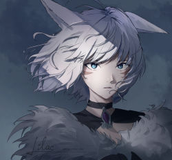 Rule 34 | 1girl, absurdres, animal ears, black choker, black dress, blue eyes, cat ears, choker, closed mouth, commentary, dress, expressionless, facial mark, final fantasy, final fantasy xiv, fur-trimmed dress, fur trim, grey background, highres, looking at viewer, miqo&#039;te, short hair, signature, solo, the other lilac, twitter username, upper body, whisker markings, white hair, y&#039;shtola rhul