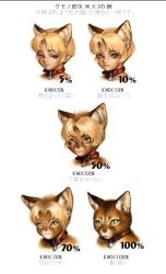 Rule 34 | 1girl, animal ears, body fur, cat, cat ears, chart, collar, diagram, extra ears, furry, furry female, furry male, original, po-ju, pun, translated, white background