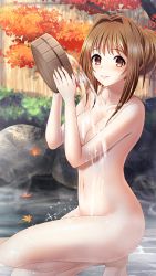Rule 34 | 1girl, autumn, autumn leaves, basket, breasts, brown eyes, brown hair, closed mouth, collarbone, completely nude, doukyuusei another world, from side, game cg, hair intakes, holding, holding basket, kakyuusei 2, leaf, long hair, maple leaf, medium breasts, navel, nude, official art, on one knee, onsen, saimon tamaki, smile, solo, sparkle, water