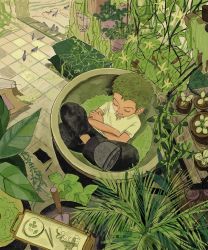 Rule 34 | 1boy, bird, crossed arms, closed eyes, feleven, garden, green hair, green theme, highres, leaf, crossed legs, male focus, nose bubble, one piece, plant, potted plant, roronoa zoro, short hair, short sleeves, sleeping, sleeping upright, solo