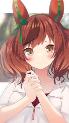 Rule 34 | 1girl, animal ears, blurry, blurry background, blush, bow, brown eyes, brown hair, closed mouth, collarbone, commentary request, daidai ookami, depth of field, eyebrows hidden by hair, green bow, hair bow, hands up, highres, horse ears, jacket, looking at viewer, multicolored hair, nice nature (umamusume), own hands together, red shirt, shirt, short sleeves, smile, solo, streaked hair, twintails, umamusume, upper body, white jacket