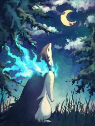 Rule 34 | 7 phi 3, alternate color, animal focus, blue fire, cloud, commentary, creatures (company), crescent moon, fire, game freak, grass, highres, hisuian typhlosion, looking up, moon, night, night sky, nintendo, no humans, pokemon, pokemon (creature), shiny pokemon, sky, standing, star (sky), symbol-only commentary