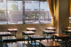 Rule 34 | absurdres, building, chair, classroom, commentary request, curtains, day, desk, hankachi (okayama012), highres, indoors, no humans, original, roomscape, scenery, school, school chair, school desk, sunlight, tree, window, yellow theme