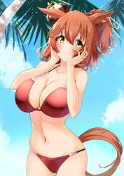 Rule 34 | 1girl, animal ears, aston machan (umamusume), bare arms, bare shoulders, bikini, blue sky, blush, brown hair, cloud, commentary request, cowboy shot, day, green eyes, hands up, highres, horse ears, komb, looking at viewer, medium hair, navel, ponytail, red bikini, sky, smile, solo, standing, stomach, swimsuit, tail, umamusume