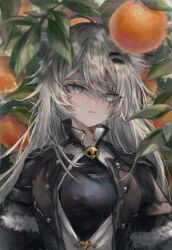Rule 34 | 1girl, ahoge, animal ears, arknights, black dress, black jacket, closed mouth, commentary request, dress, food, food request, gamo tako, grey eyes, grey hair, hair between eyes, hair ornament, hairclip, highres, jacket, lappland (arknights), long hair, open clothes, open jacket, scar, scar across eye, shirt, solo, upper body, white shirt