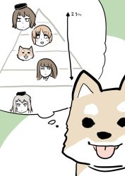 Rule 34 | 10s, 4girls, blonde hair, brown hair, chart, comic, dog, female focus, flat color, girls und panzer, hat, itsumi erika, light brown hair, mo (kireinamo), multiple girls, nishizumi maho, nishizumi miho, nishizumi shiho, pyramid (structure), thought bubble, tongue, tongue out, translation request