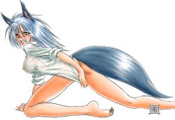 Rule 34 | 1girl, animal ears, blush, breasts, capcom, covered erect nipples, covering privates, covering ass, densuke (heppoko dou), dress shirt, gallon (vampire), genderswap, genderswap (mtf), large breasts, midnight bliss, see-through, shirt, shirt tug, sleeves rolled up, solo, tail, vampire (game), wolf ears, yellow eyes