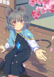 Rule 34 | 1girl, animal ears, black dress, blue capelet, blurry, blurry foreground, branch, capelet, closed mouth, dress, flower, grey hair, highres, jewelry, long sleeves, mouse ears, mouse girl, mouse tail, nayozane (worker7), nazrin, outdoors, pendant, petals, pink flower, red eyes, short hair, sitting, smile, solo, tail, touhou
