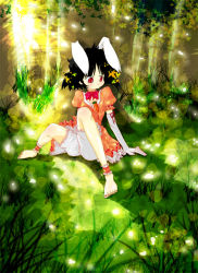 Rule 34 | 1girl, animal ears, barefoot, bloomers, feet, female focus, full body, inaba tewi, outdoors, plant, rabbit ears, short hair, sitting, solo, touhou, tree, underwear, white bloomers