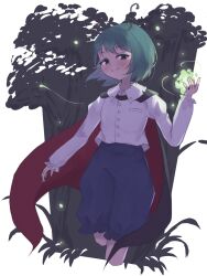 Rule 34 | 1girl, antennae, cape, closed mouth, collared shirt, commentary, cropped legs, fireflies, green eyes, green hair, highres, long sleeves, looking at viewer, shirt, short hair, smile, solo, touhou, white shirt, wriggle nightbug, yozakura223