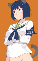 Rule 34 | 1girl, animal ears, armband, black eyes, black hair, bottomless, crossed arms, em (totsuzen no hakike), etou toshiko, female pubic hair, looking away, orange background, out-of-frame censoring, pubic hair, school uniform, serafuku, short hair, solo, strike witches, strike witches zero, tail, upper body, world witches series