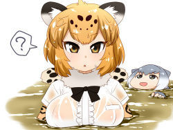 Rule 34 | 10s, 2girls, ?, animal ears, bad id, bad pixiv id, blonde hair, chestnut mouth, fingerless gloves, floating, gloves, gradient hair, jaguar (kemono friends), jaguar ears, kemono friends, looking at viewer, maeda r44, multicolored hair, multiple girls, open mouth, otter ears, partially submerged, see-through, short hair, small-clawed otter (kemono friends), spoken question mark, wet, wet clothes, white hair, yellow eyes