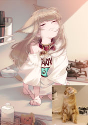 Rule 34 | 1girl, 40hara, :3, all fours, animal collar, animal ear fluff, animal ears, barefoot, blonde hair, blunt bangs, cat ears, cat girl, cat tail, closed eyes, clothes writing, collar, fang, highres, kinako (40hara), long hair, motion blur, original, photo-referenced, photo inset, print shirt, red collar, reference inset, shirt, solo, t-shirt, tail, white shirt, wind