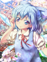 Rule 34 | 1girl, arm up, blue dress, blue eyes, blue hair, bow, cirno, dress, face, flower, gpbeta, hair bow, highres, ice, ice wings, looking at viewer, matching hair/eyes, ribbon, short hair, solo, touhou, wings