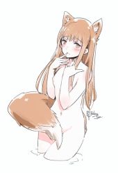 Rule 34 | 1girl, animal ear fluff, animal ears, artist name, blush, breasts, brown eyes, brown hair, commentary, covering privates, covering crotch, cowboy shot, embarrassed, finger to mouth, groin, hands up, holo, long hair, looking at viewer, navel, nipples, nude, parted lips, relaxjon, sidelocks, signature, simple background, small breasts, solo, spice and wolf, straight hair, tail, wading, white background, wolf ears, wolf girl, wolf tail