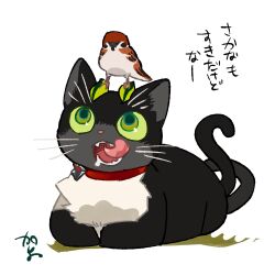 Rule 34 | animal, bird, cat, collar, commentary, full body, green eyes, highres, kazue kato, no humans, open mouth, original, red collar, saliva, sharp teeth, sparrow, teeth, tongue, tongue out, whiskers