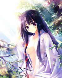 Rule 34 | 1girl, black hair, blush, breasts, cleavage, highres, japanese clothes, large breasts, long hair, nature, open clothes, original, outdoors, purple eyes, rei (artist), rei (rei&#039;s room), ribbon, solo