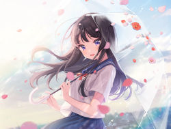 Rule 34 | 1girl, :d, black hair, blue eyes, blue sailor collar, blue skirt, blurry, blurry background, blush, bow, breasts, commentary request, day, depth of field, floating hair, flower, hands up, highres, holding, holding umbrella, long hair, looking at viewer, open mouth, original, outdoors, petals, pink flower, pleated skirt, rain, red bow, red flower, sailor collar, school uniform, serafuku, shigure ui, short sleeves, skirt, small breasts, smile, solo, transparent, transparent umbrella, umbrella, very long hair