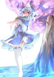 Rule 34 | 1girl, bad id, bad pixiv id, blue dress, cherry blossoms, dress, female focus, folded fan, folding fan, hand fan, hat, highres, long sleeves, looking at viewer, outstretched hand, petals, pink eyes, pink hair, saigyouji yuyuko, saraki, short hair, solo, thighhighs, touhou, tree, triangular headpiece, veil, white thighhighs, wide sleeves, zettai ryouiki