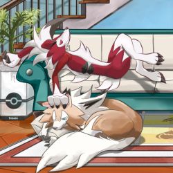 Rule 34 | alternate form, animal ears, artist name, claws, couch, creatures (company), crossed legs, curling, evelmanian, furry, game freak, gen 7 pokemon, headpat, lycanroc, lycanroc (midday), lycanroc (midnight), lying, nintendo, pillow, plant, poke ball symbol, pokemon, pokemon (creature), pokemon sm, potted plant, rug, tail, wolf ears, wolf tail