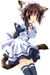 Rule 34 | 1girl, animal ears, arms behind back, blue thighhighs, blush, bob cut, brooch, brown hair, cat ears, cat tail, flat chest, grey eyes, happy, jewelry, maid, maid headdress, minazuki haruka, short hair, simple background, smile, solo, standing, tail, thighhighs, turtleneck, white background, zettai ryouiki