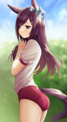 Rule 34 | 1girl, animal ears, ass, bad id, bad pixiv id, bare arms, blurry, blurry background, bokeh, bow, brown hair, bush, closed mouth, commentary, cowboy shot, depth of field, ear bow, ear ornament, forehead, gym uniform, horse ears, horse girl, horse tail, long hair, mejiro dober (umamusume), omochimochi, outdoors, parted bangs, purple eyes, purple hair, shadow, short sleeves, sky, solo, standing, sunlight, tail, umamusume, worried