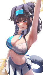 Rule 34 | 1girl, animal ears, arm up, armpits, black hair, blue archive, breasts, cheerleader, cleavage, detached collar, dog ears, dog girl, dog tail, facial mark, grey eyes, halo, hibiki (blue archive), hibiki (cheer squad) (blue archive), highres, holding, holding pom poms, long hair, looking at viewer, millennium cheerleader outfit (blue archive), open mouth, pleated skirt, pom pom (cheerleading), pom poms, ponytail, silver bullet (ecc12 8), simple background, skirt, solo, star (symbol), sweat, tail, white background, white skirt