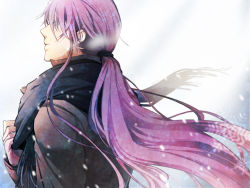 Rule 34 | 1boy, eyelashes, from side, genmai, jacket, kamui gakupo, long hair, male focus, outdoors, ponytail, purple hair, scarf, snow, snowing, solo, very long hair, vocaloid, white background, winter