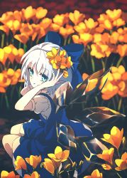 Rule 34 | 1girl, blue bow, blue dress, blue eyes, blue hair, bow, cirno, commentary, dise (psychoro), dress, fairy, flower, freesia (flower), hair bow, hair flower, hair ornament, hands up, highres, ice, ice wings, looking at viewer, shirt, short hair, short sleeves, solo, touhou, white shirt, wings