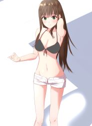 Rule 34 | 1girl, artist request, idolmaster, idolmaster cinderella girls, idolmaster cinderella girls starlight stage, looking at viewer, midriff, navel, open fly, shibuya rin, smile, swimsuit